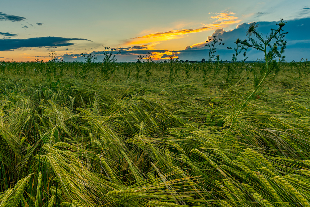 Platz 5 Robert Seitz